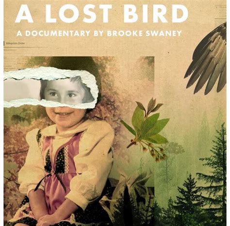 Uw Stout Library News Feature Stream Daughter Of A Lost Bird