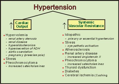 Chapter21 secondary causes of hypertension sergio f.f. Dr Ajays Homeopathy : Controlling your Blood Pressure With ...