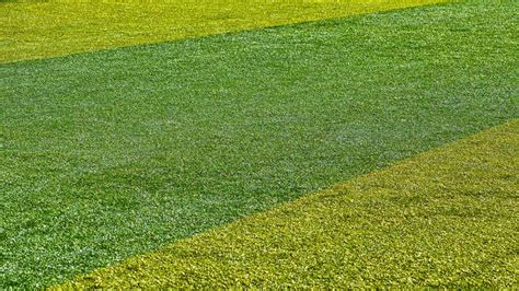 Artificial Grass Versus Artificial Turf Is There A Difference