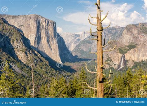 Yosemite National Park Valley Summer Landscape Stock Photo Image Of