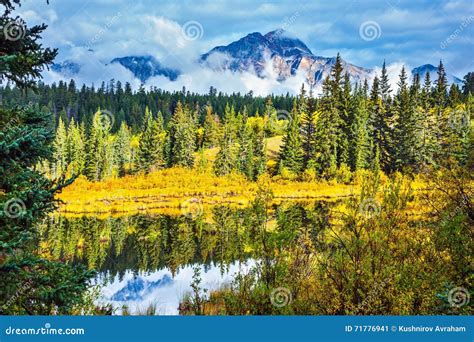 Warm Autumn Day In Park Jasper Stock Image Image Of Rockies Outdoors