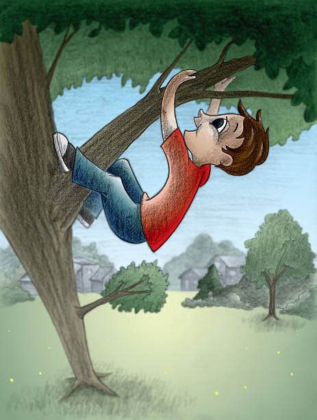 Kids Climbing Tree Illustrations Royalty Free Vector