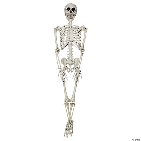 Hanging Skeleton Halloween Decoration Oriental Trading