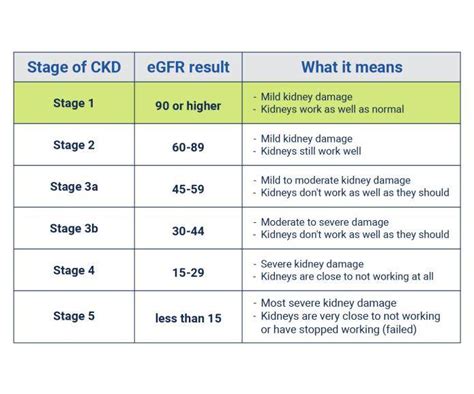 Egfr Kidney Disease Stages
