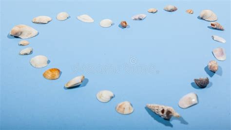 Heart Made Of Shells And Sea Stones Love Concept Stock Photo Image