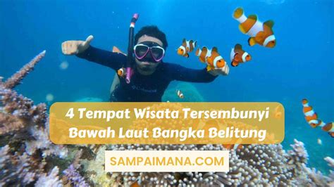 4 Tempat Wisata Tersembunyi Bawah Laut Bangka Belitung