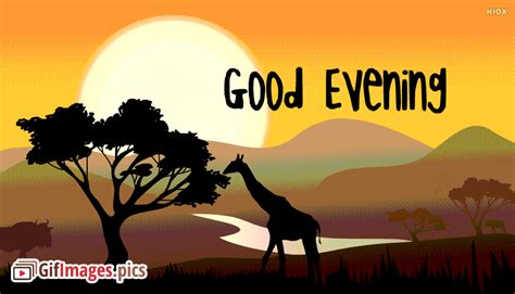 Use good evening any time after sunset. Animated Forest Background Gif Images
