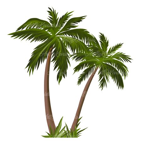 Palm Tree PNG Palm Trees PNG Palm Tree Tropical Tree PNG - Etsy UK