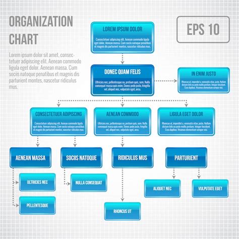 Premium Vector Organizational Chart Infographic Template