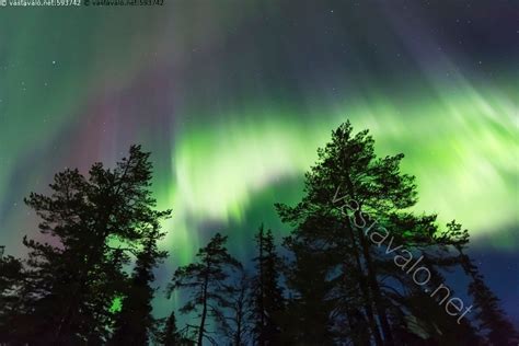 Kuva Revontulet Aurora Borealis Aktiivisuus Auringon Aurinkotuuli