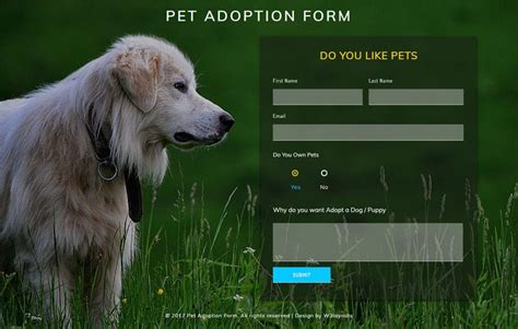Not only are they fun companions to play with, but they follow you around, too. Pet Adoption Form Responsive Widget Template