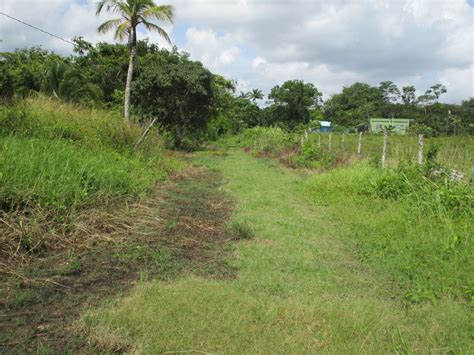 Atlantic bank offers financial assistance during the. BZRO060 - Belize City - Residential - Belize Bank