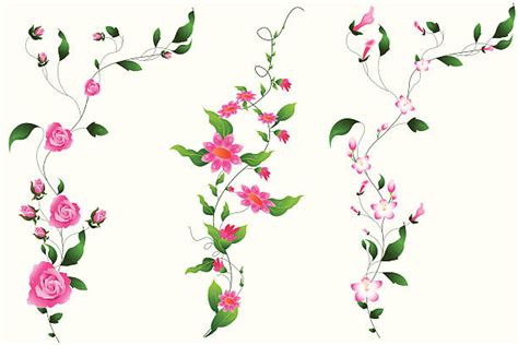Rose Vines Illustrations Royalty Free Vector Graphics And Clip Art Istock
