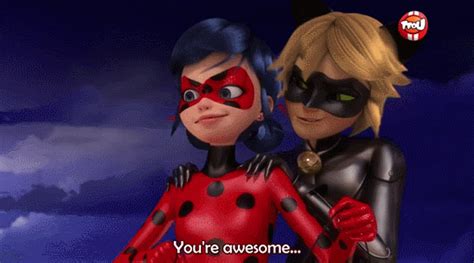 Ladybug And Chat Noir My  Animated  4798730 By Violanta On