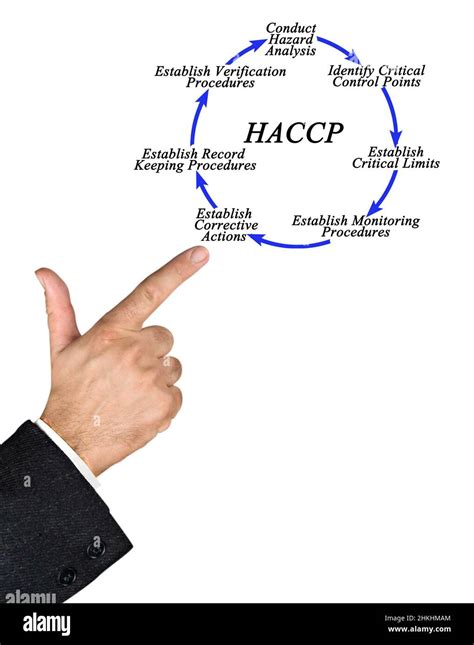 Seven Steps Of Haccp Implementation Cycle Stock Photo Alamy