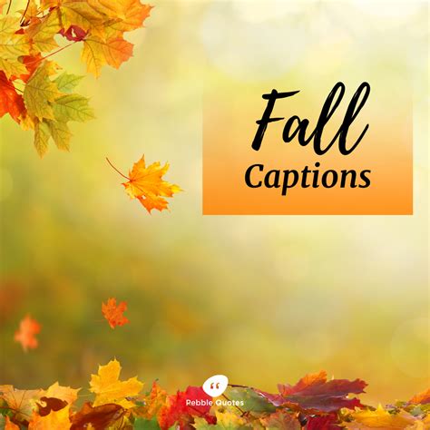 100 Best Fall Captions For Instagram Autumn Captions