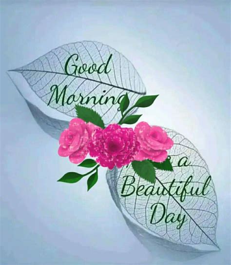 Two Leaves With Pink Flowers On Them And The Words Good Morning A