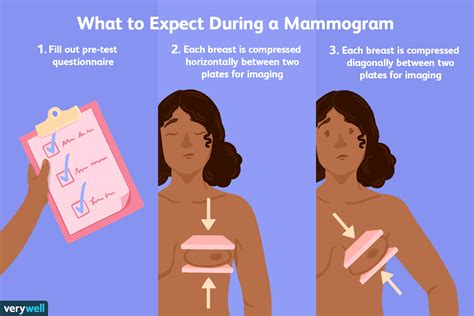 Mammogram Uses Side Effects Procedure Results