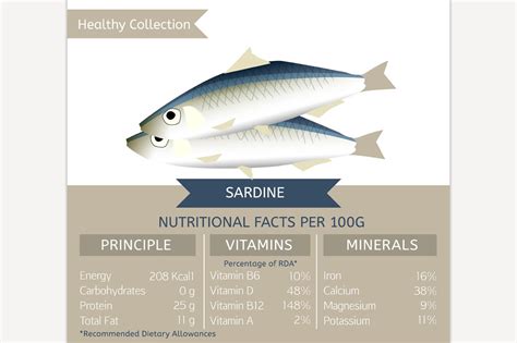 Sardine Nutritional Facts ~ Illustrations ~ Creative Market