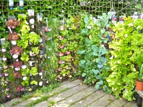 Bottle Tower Gardens Provide Exceptionally Efficient Small Space