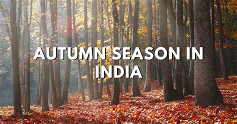 Autumn Season In India The Magical Beauty Of Autumn