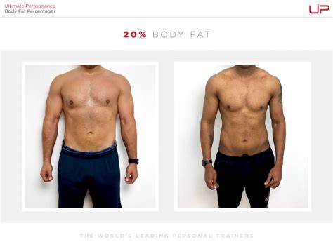 male body fat percentage comparison [visual guide]