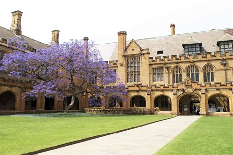 Creating A New Staff Intranet At University Of Sydney