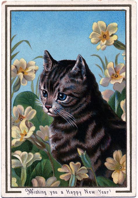 24 Beautiful Vintage Cat Pictures The Graphics Fairy