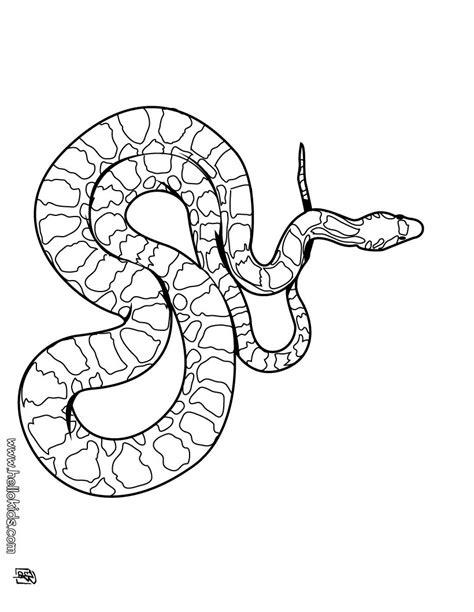 Python Coloring Pages Download And Print For Free