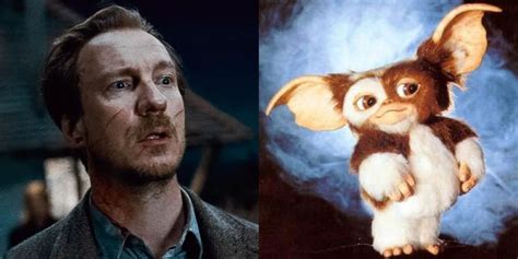 Harry Potter 10 Characters And Their Popular Holiday Character Counterparts