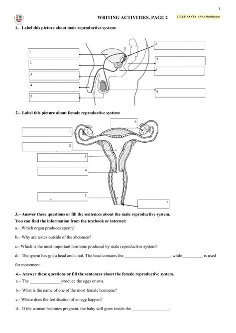 Male And Female Reproductive System Worksheet
