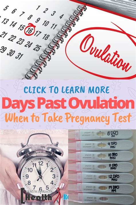 Days Past Ovulation Symptoms And When To Take A Pregnancy Test Faq