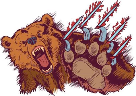 Angry Bear Illustrations Royalty Free Vector Graphics And Clip Art Istock