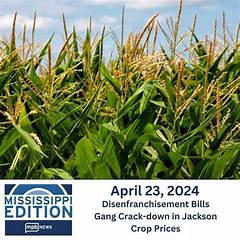 Mississippi Cracks Down Org Members In Handcuffs