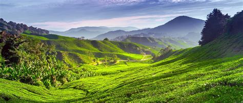 10 Best Cameron Highlands Hotels Hd Photos Reviews Of Hotels In
