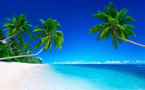 Banco De Im Genes Gratis Fotos De Playas Tropicales Con Agua Cristalina Sol Palmeras Y