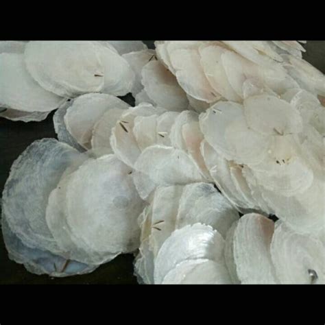 Natural Capiz Shell Capiz Craft Package Contains 25 Pcs Etsy