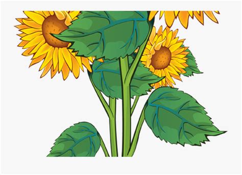 Summer Flower Border Clip Art Free Gardening Flower