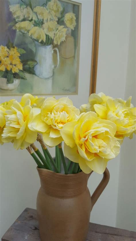 Easter Daffodils Daffodils Home Decor Rose