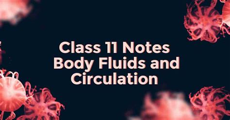 Body Fluids And Circulation Class 11 Notes Vidyakul