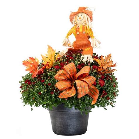 This florist, with a flower shop near the delivery address, will personally deliver your flowers the same day (for orders that reach us before 11 am monday to saturday). Aurora Flowers, Montgomery Florist Near Me, Flowershop ...