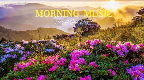 Healing Music Nature Sounds Positive Energy Morning Music To