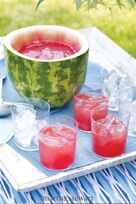 20 Sangria Summer Punch And Cooler Recipes For Hot Summer Days
