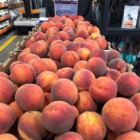 Peaches Information Recipes And Facts