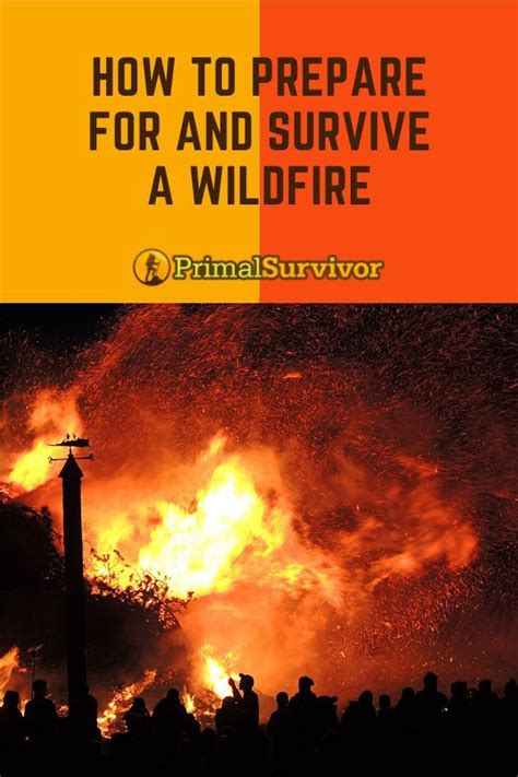 How To Survive A Wildfire Artofit