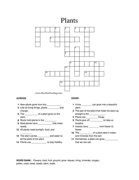 Plants Crossword Puzzle By Teach Simple