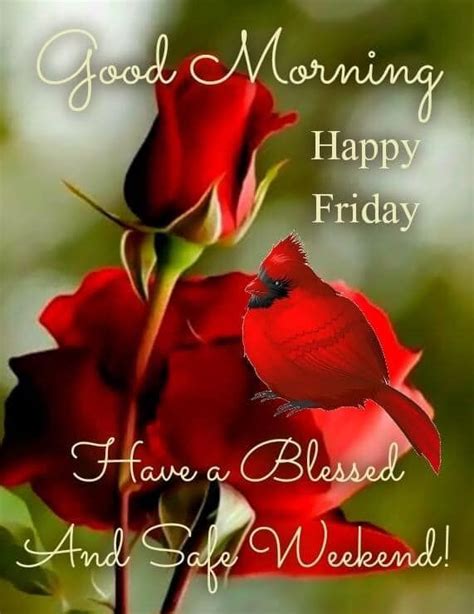 Good Morning Everyone Happy Friday I Pray That You Have A Safe