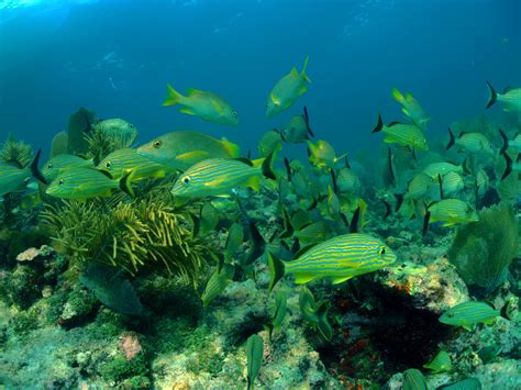 Capturing The Florida Keys Photo Gallery