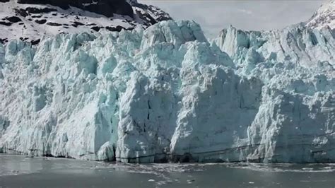 World Wildlife Fund Tv Spot On Thin Ice Ispot Tv