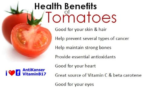 infokanserpayudara surprising health benefits of tomatoes